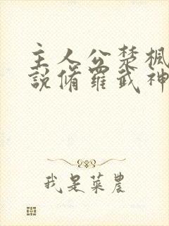 主人公楚枫的小说修罗武神