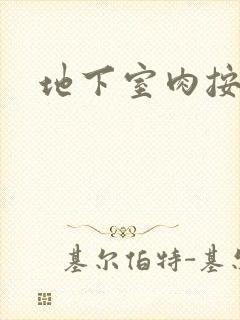 地下室肉按摩椅