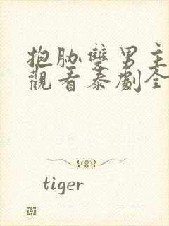 抱胁双男主免费观看泰剧全集高清