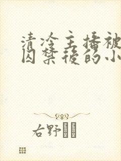 清冷主播被疯批囚禁后的小说结局封面