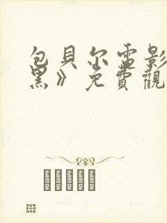 包贝尔电影《打黑》免费观看