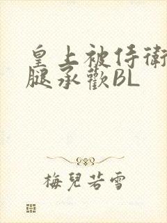 皇上被侍卫抵开腿承欢BL