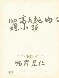 np高h纯肉公媳小说