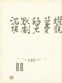 沉默的荣耀+电视剧免费观看