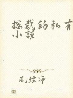 总裁的私有宝贝小说封面