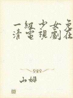 一级少女免费高清电视剧在线观看封面