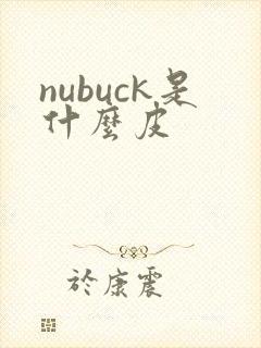 nubuck是什么皮