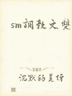 sm调教文双男