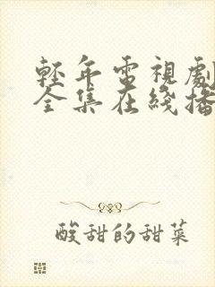 轻年电视剧免费全集在线播放