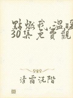 点燃我,温暖你30集免费观看