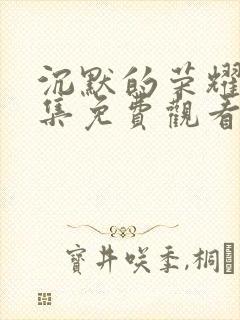 沉默的荣耀40集免费观看全集