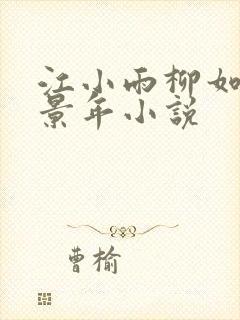 江小雨柳如烟陆景年小说封面