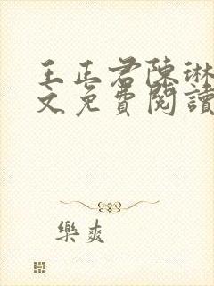 王正君陈琳洁全文免费阅读最新章节封面