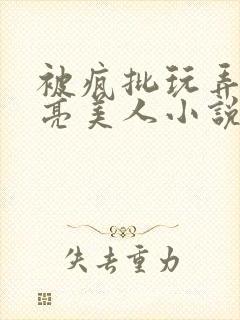 被疯批玩弄的漂亮美人小说封面