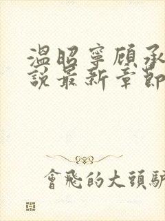 温昭宁顾承泽小说最新章节