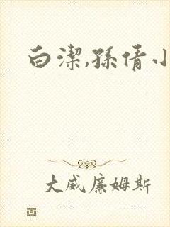 白洁,孙倩小说封面