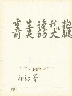 重生后我抱紧了前夫的大腿