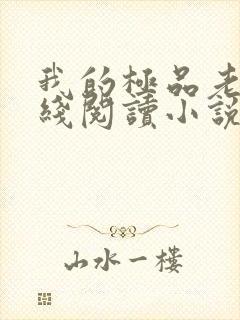 我的极品老婆在线阅读小说