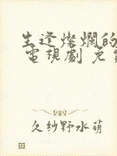 生逢灿烂的日子 电视剧 免费观看