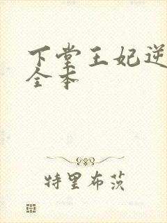 下堂王妃逆袭记全本封面