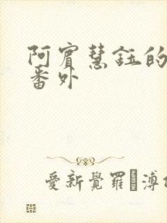 阿宾慧钰的小说番外