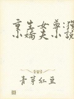 重生女尊:独宠小娇夫小说