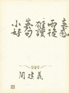 小英雄雨来好词好句读后感