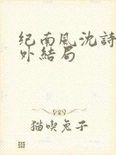 纪南风沈诗澜番外结局封面