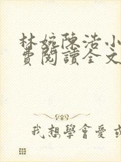 林婉陈浩小说免费阅读全文最新章节