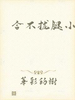 合不拢腿小说封面