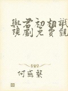 与君初相识 电视剧免费观看完整版