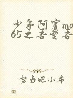 少年阿宾md165之吾爱吾师