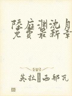 陆庭渊沈月小说免费最新章节