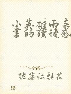 小英雄雨来这本书的读后感500字