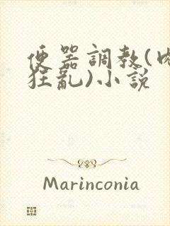 便器调教(肉体狂乱)小说