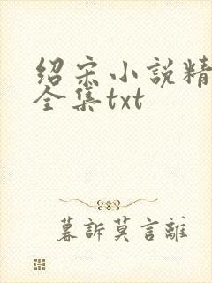 绍宋小说精校版全集txt封面