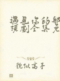 遇见你的那天电视剧全集免费