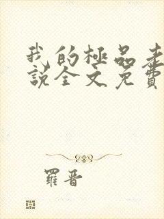 我的极品老婆小说全文免费阅读