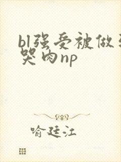 bl强受被做到哭肉np