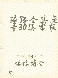 归路全集免费观看30集电视剧