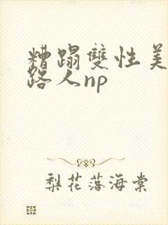 糟蹋双性美人多路人np