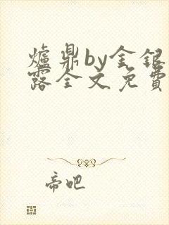 炉鼎by金银花露全文免费阅读笔趣阁封面