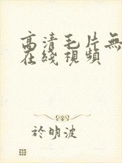 高清毛片无遮挡在线视频