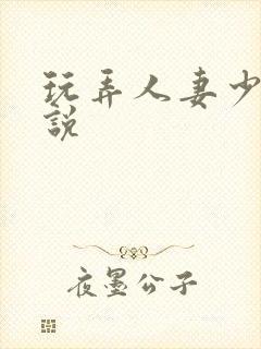 玩弄人妻少妇小说