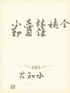 小志林姨全部章节目录