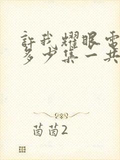 许我耀眼电视剧多少集一共封面