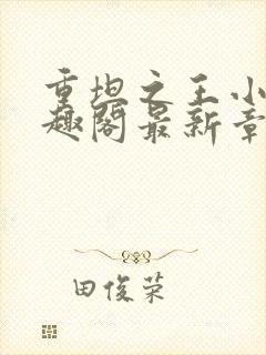 重坦之王小说笔趣阁最新章节更新