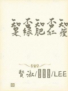 知否知否知否应是绿肥红瘦高清在线观看