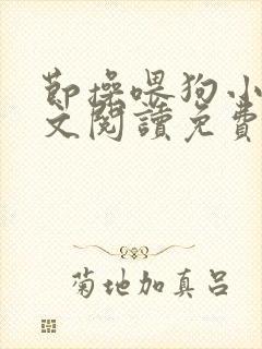 节操喂狗小说全文阅读免费