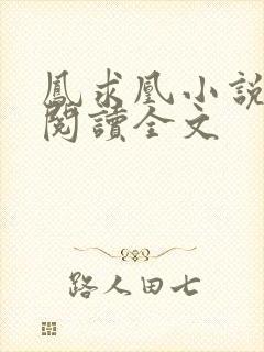 凤求凰小说免费阅读全文